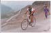 1989 Cyclo sportive La MARMOTE 3